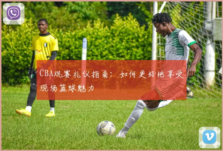 CBA观赛礼仪指南：如何更好地享受现场篮球魅力