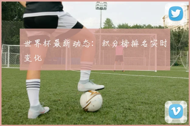 世界杯最新动态：积分榜排名实时变化